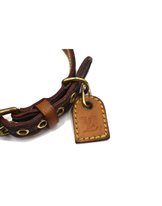 Louis Vuitton Collare Cane Monogram