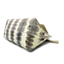 Ferragamo Sofia Pitone Beige