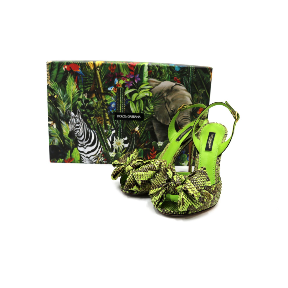 Dolce & Gabbana Décolleté Pitone Verde