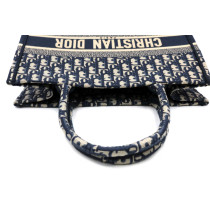 Dior Book Tote Tela Oblique Blu