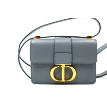 Dior Montaigne Mini Pelle Grigia