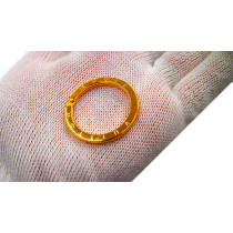 Louis Vuitton Charms Portachiavi Metallo Dorato