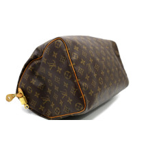 Louis Vuitton Speedy 35 Monogram