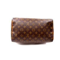 Louis Vuitton Speedy 30 Monogram