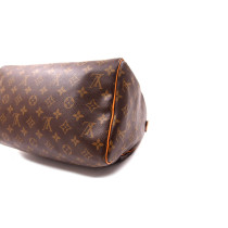 Louis Vuitton Speedy 30 Monogram
