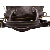 Louis Vuitton Trevi PM Damier Ebene