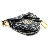 Dior Saddle Blue Canvas