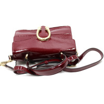 Gucci Dionysus Pelle Bordeaux