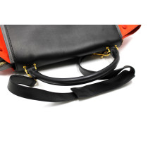 Cèline Trapeze Pelle e Suede Tricolor