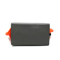 Cèline Trapeze Pelle e Suede Tricolor