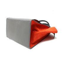 Cèline Trapeze Pelle e Suede Tricolor