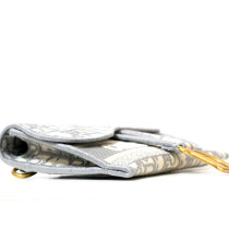 Dior Saddle Pochette Tela Jacquard Oblique Grigia, Bianca e Beige