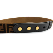 Fendi Brown Canvas Shoulder Strap
