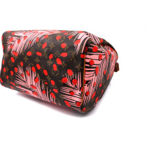 Louis Vuitton Speedy 30 Limited Monogram