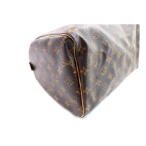Louis Vuitton Speedy 30 Monogram