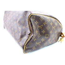 Louis Vuitton Speedy 40 Monogram