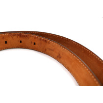 Louis Vuitton Cintura 105 Monogram