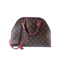 Louis Vuitton Alma PM Brown and Bordeaux